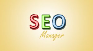 seo-manager-300x164.jpg