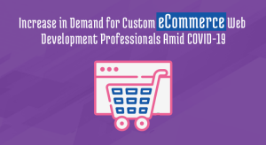custom ecommerce web development